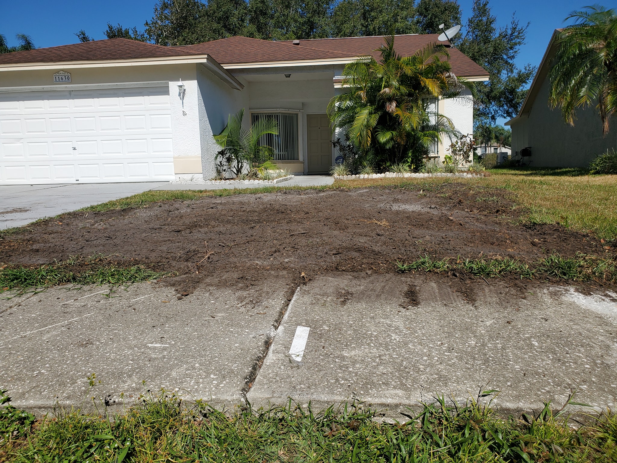 Freshly cleared front yard of a residential home in Tampa, FL