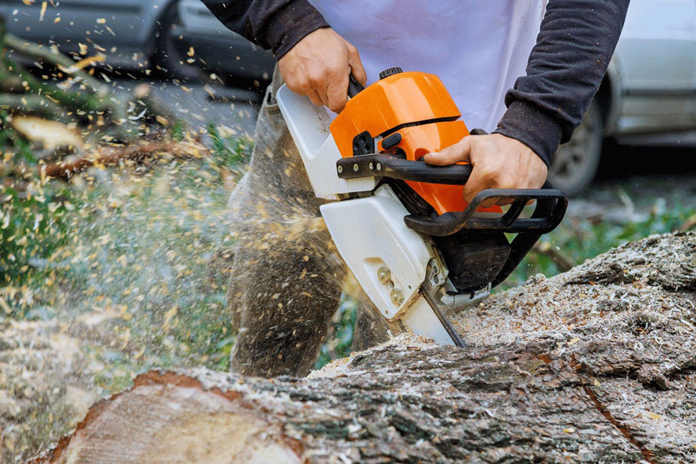Close-up of a person using an orange chainsaw to cut through a tree log