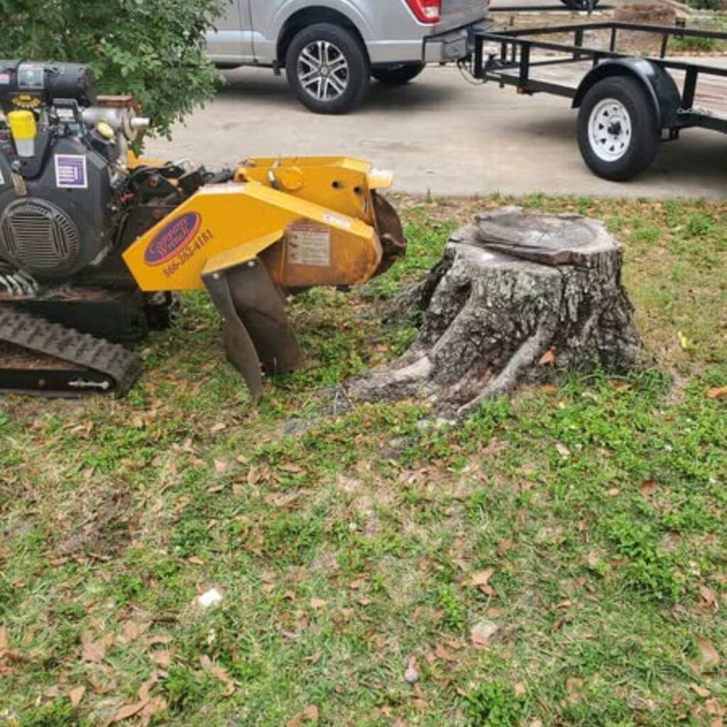 Tree Stump Removal