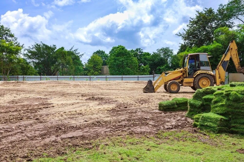 Cleared lot graded and ready for new sod after tree and stump work